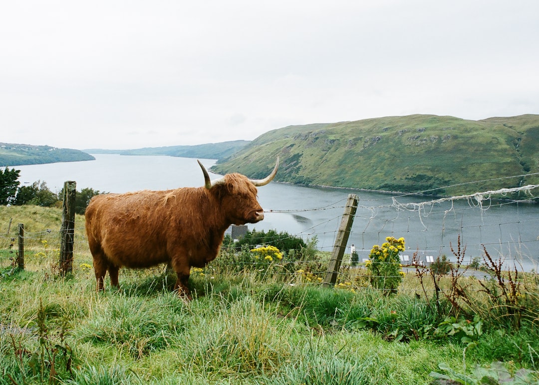 Scotland whisky regions map distillery landscape Highland Islay