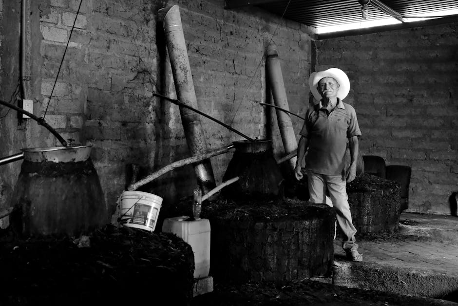 mezcal palenque underground pit roasting Oaxaca artisan production