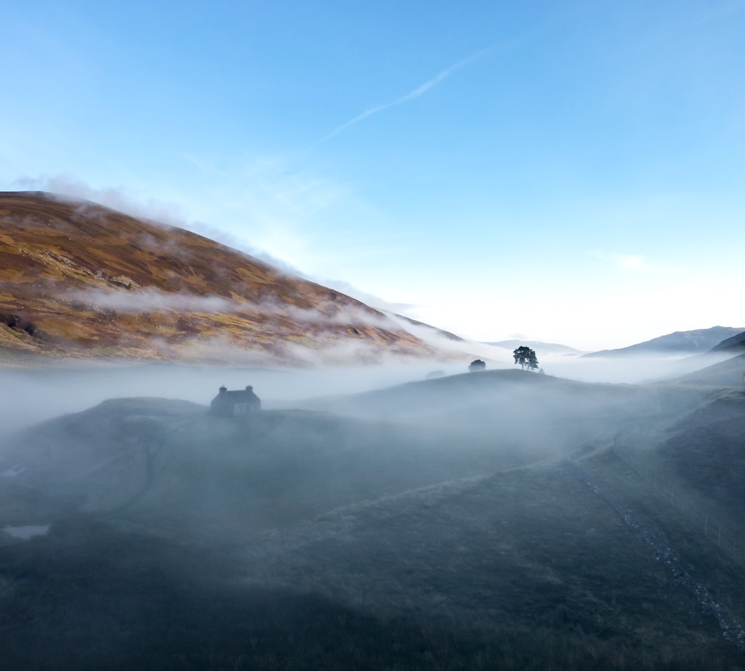 Scottish whisky distillery misty highland landscape barrels