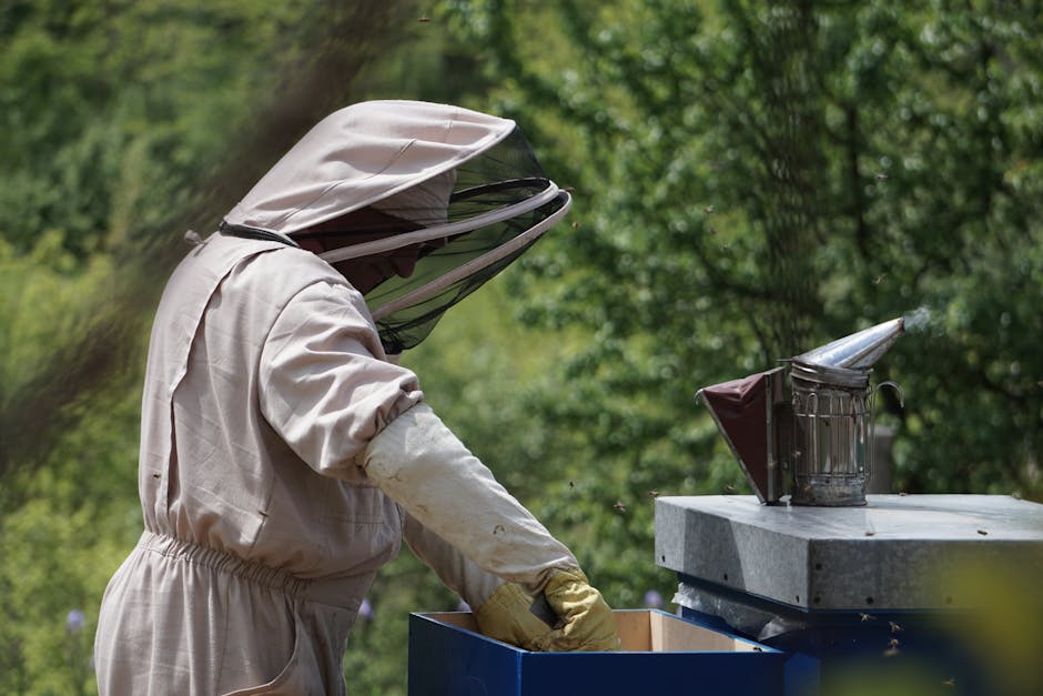 varroa mite treatment, oxalic acid vaporizer beekeeping, hive inspection mite wash